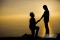 The Proposal
