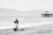 The Proposal