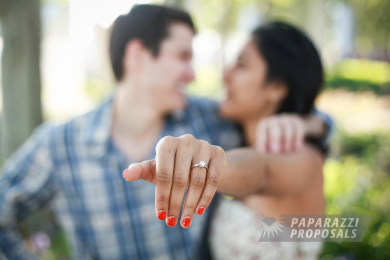 Photo David and Dinisha’s romantic Battery Park proposal, NYC