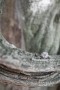 The Ring