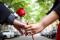 Love & Commitment 