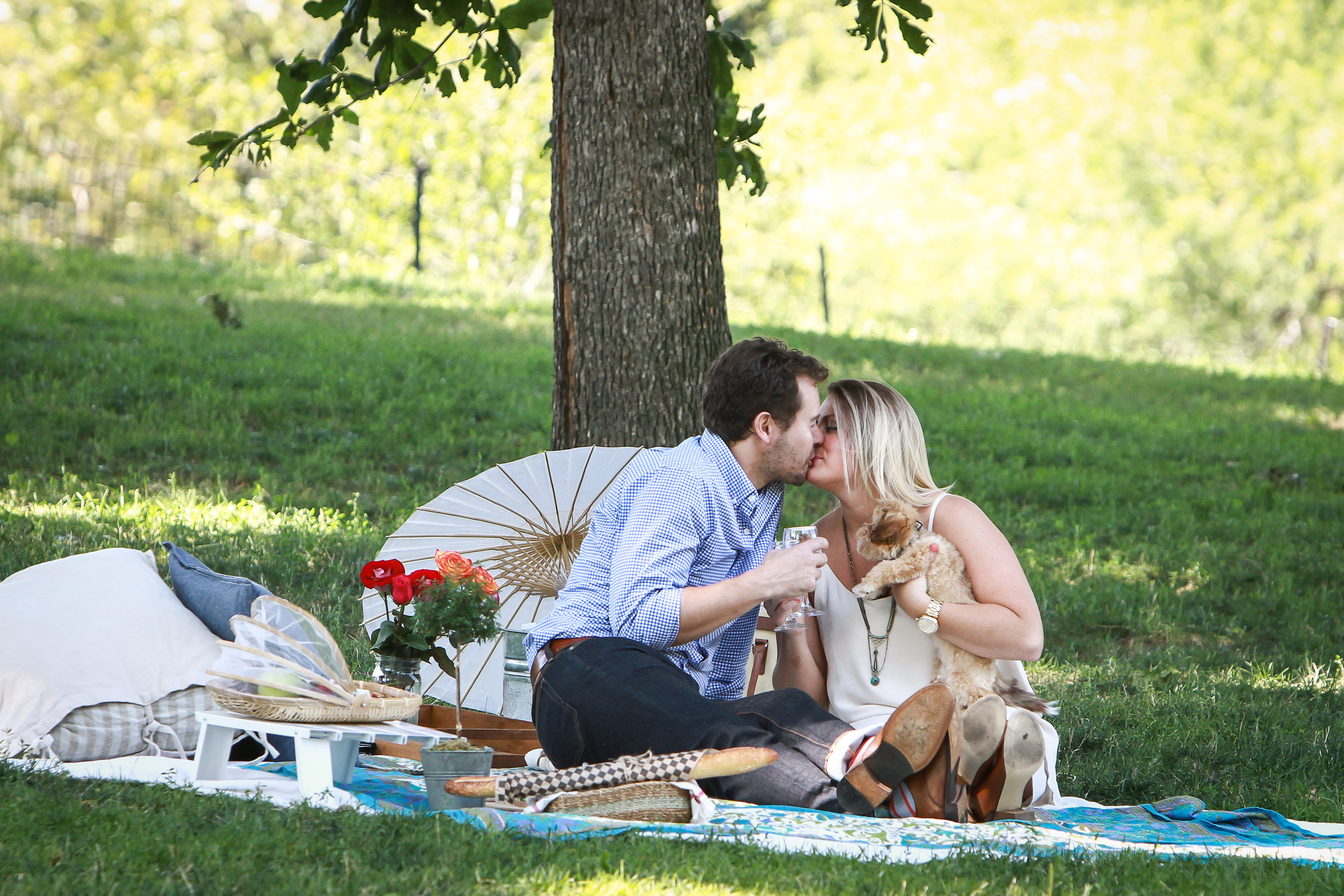 Paris Proposal Ideas: Picnic Proposal 