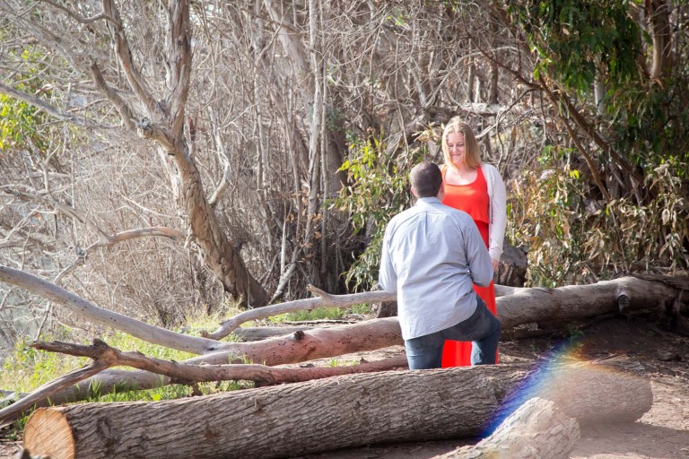 Photo Top Five Charlotte Proposal Ideas Photo Top Five Charlotte Proposal Ideas