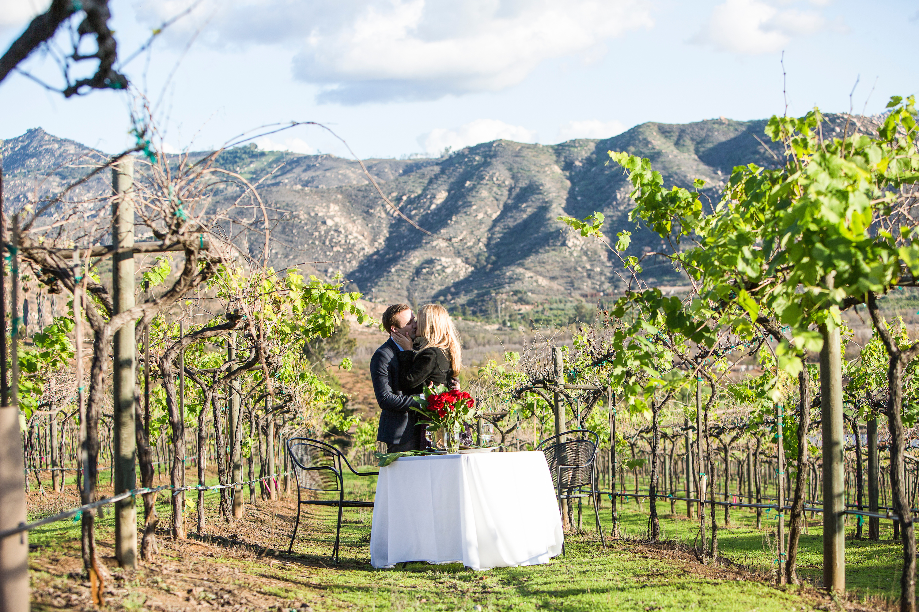 How to Propose in San Diego 