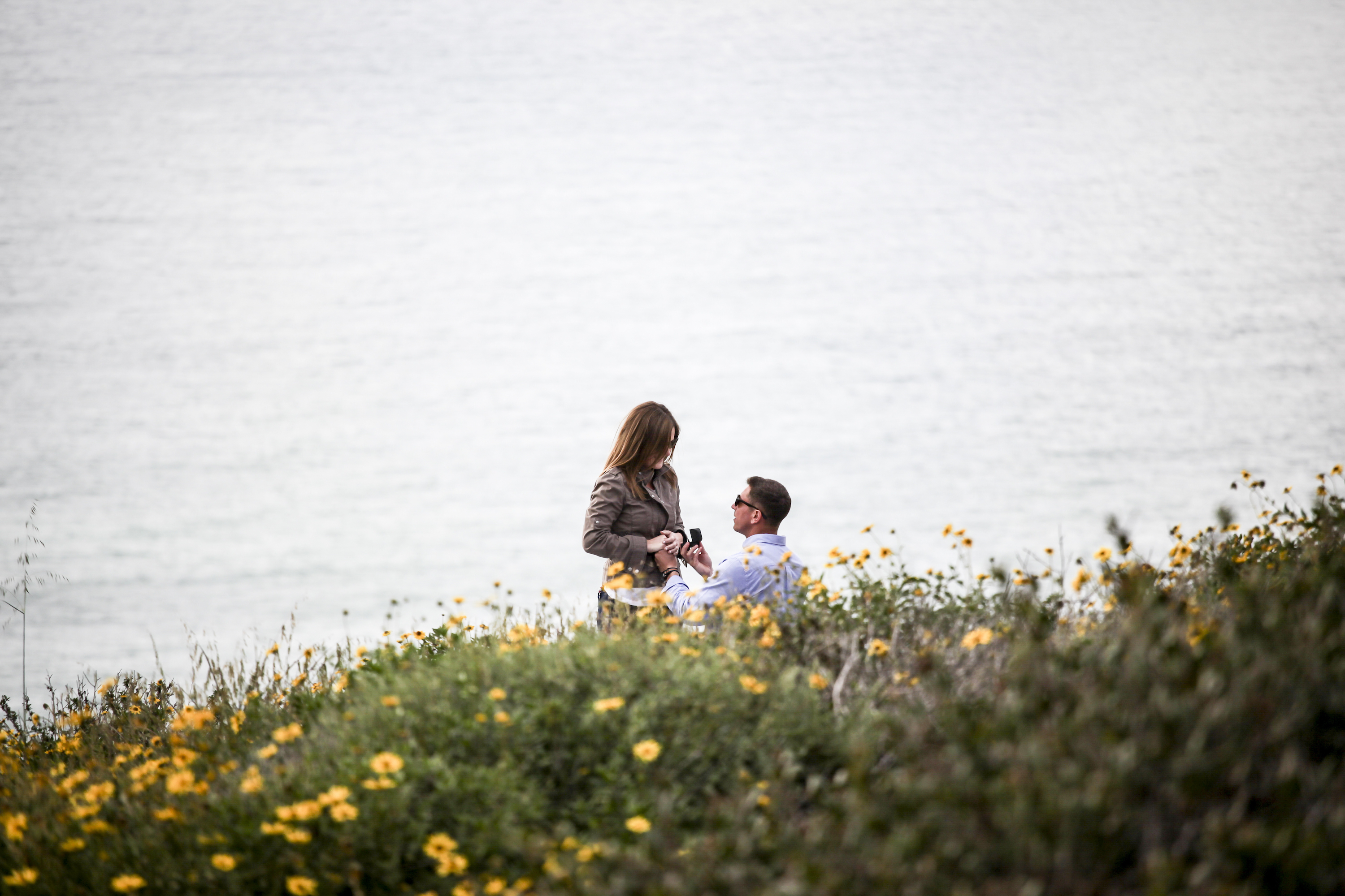 How to Propose in San Diego