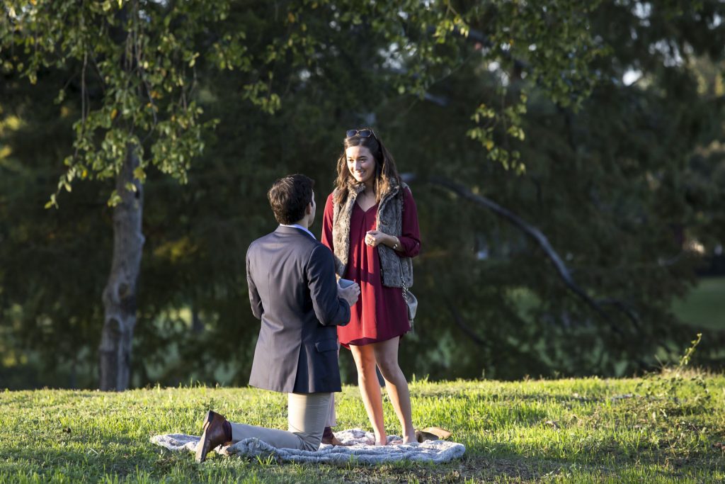 Dallas engagement proposal ideas