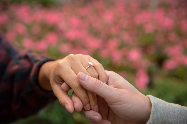 Photo Picture-Perfect St. Louis Proposal Ideas Photo Picture-Perfect St. Louis Proposal Ideas