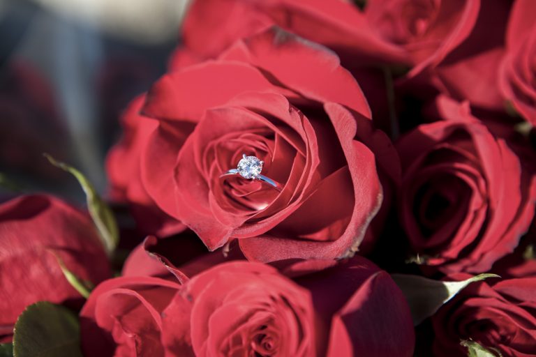 Photo Get $100 off Your Engagement Proposal Photography! Photo Get $100 off Your Engagement Proposal Photography!