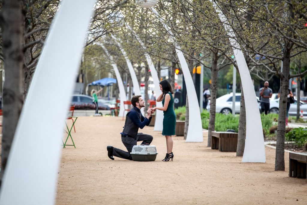 Dallas engagement proposal ideas