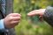 The Ring 