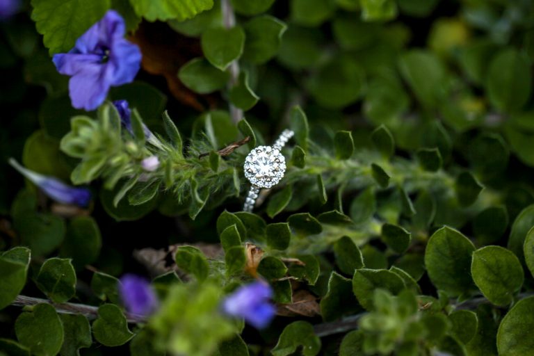 Photo Picture-Perfect Dallas Proposal Photography Ideas Photo Picture-Perfect Dallas Proposal Photography Ideas