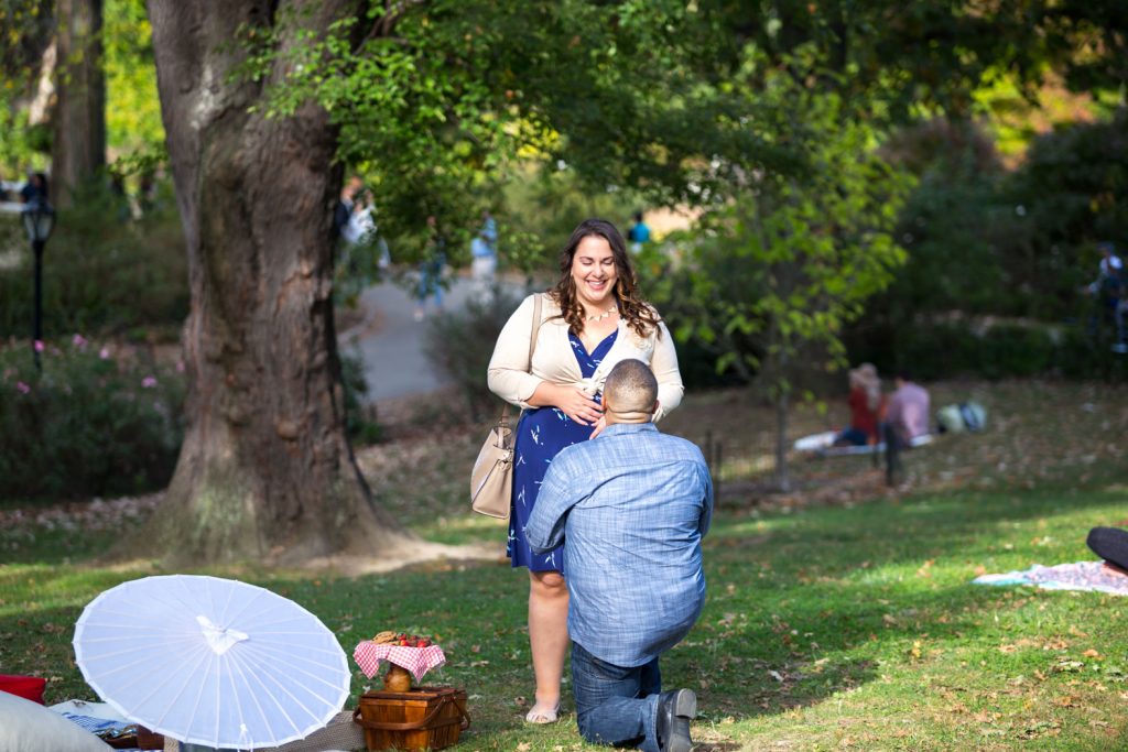 Photo Best Places to Propose in Central Park during the Fall and Winter
