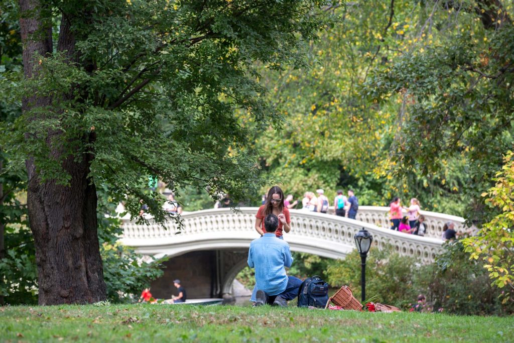 Central Park Engagement Proposal Ideas