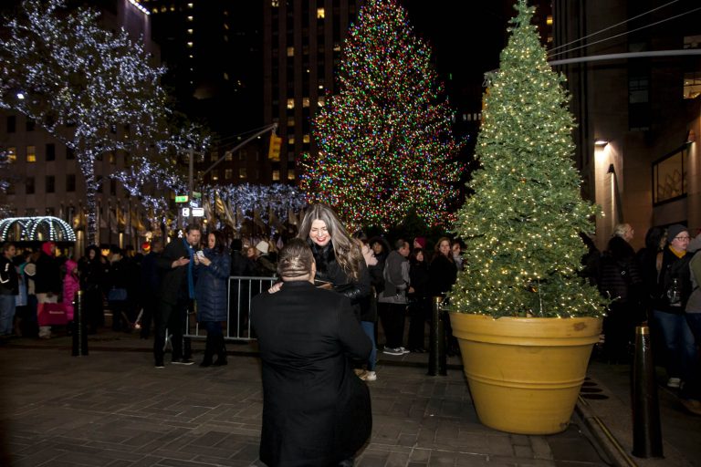New-York-City-Proposal-Ideas-Victor-1-768x512