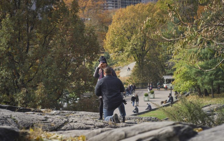 Photo Five Stunning Central Park Proposal Ideas Photo Five Stunning Central Park Proposal Ideas