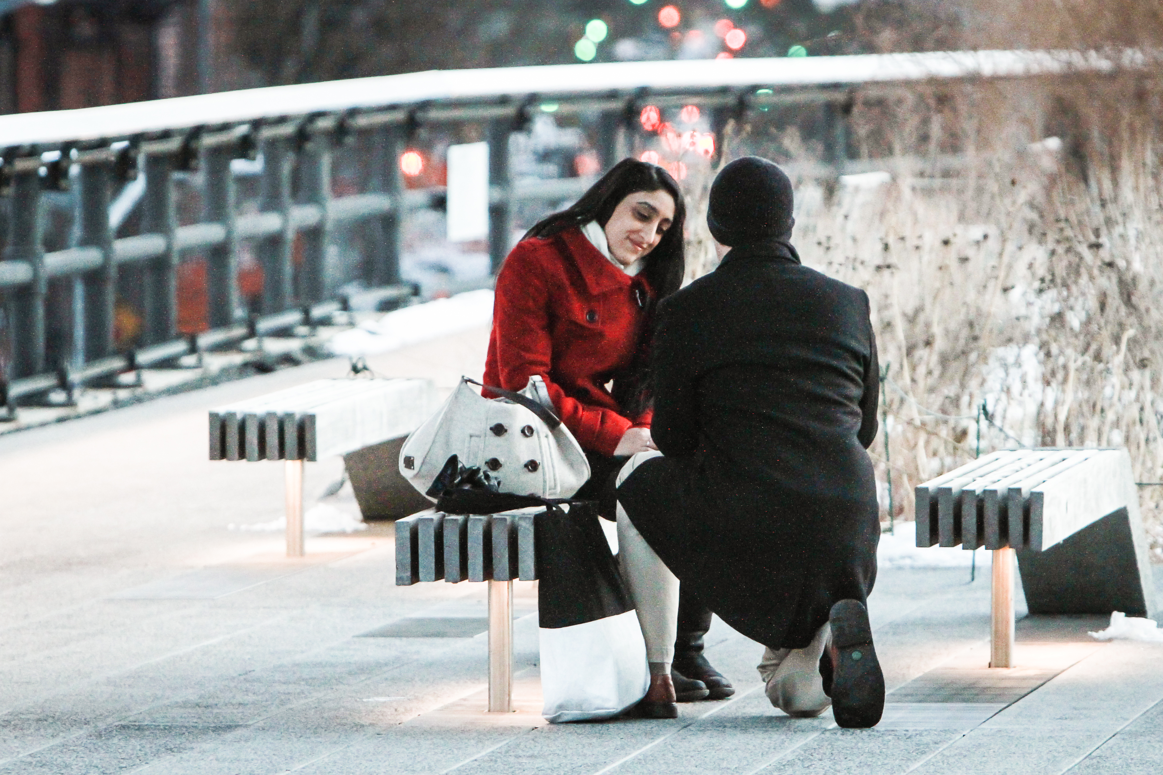 Photo Picture-Perfect New York Summer Engagement Ideas