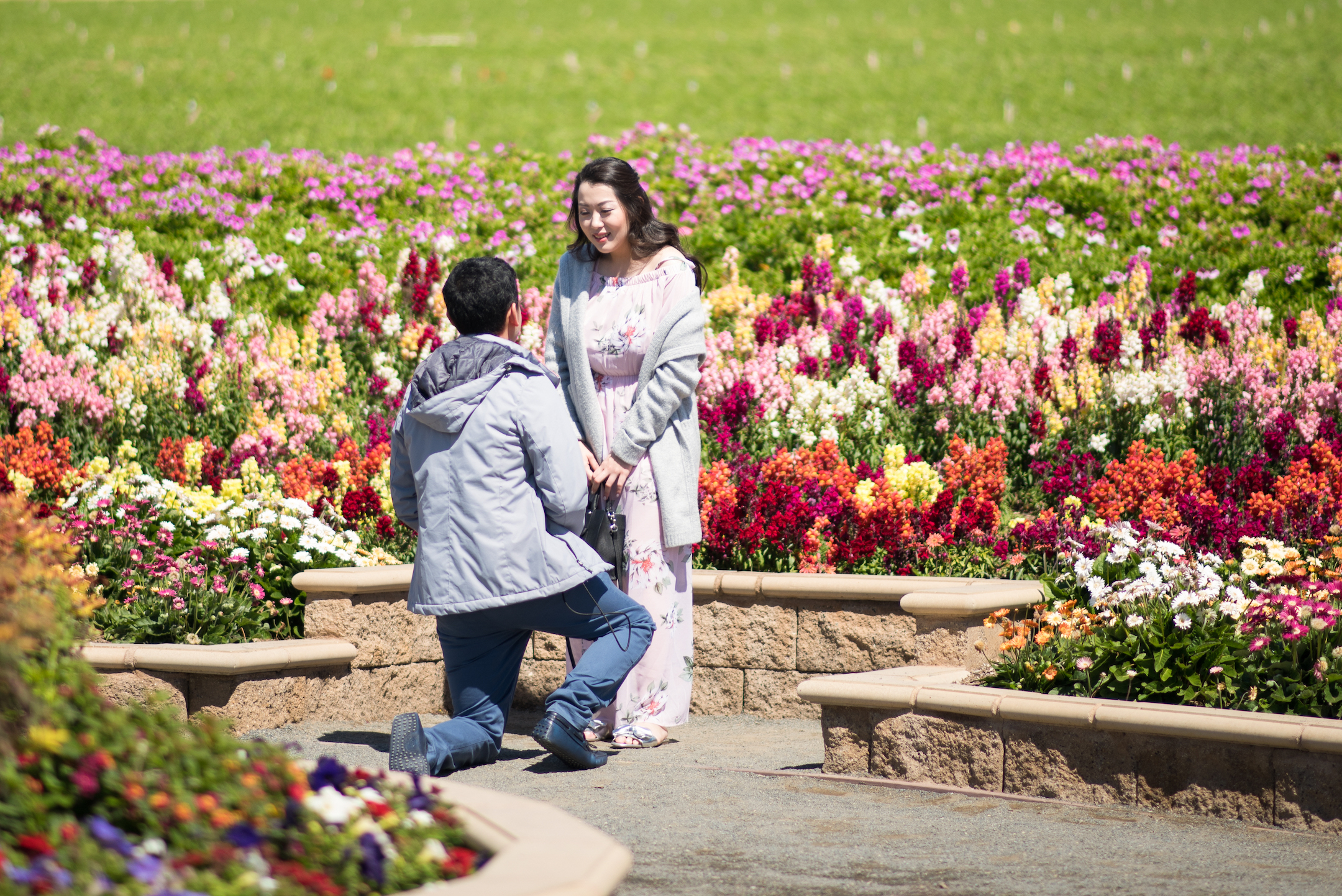 Photo Best Engagement Proposal ideas of the Month!