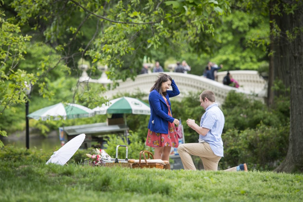 Photo Tyrell’s New York Picnic Engagement Proposal