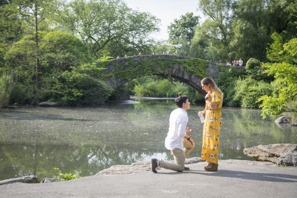 Photo Amazing Summer New York Engagement Proposals Photo Amazing Summer New York Engagement Proposals