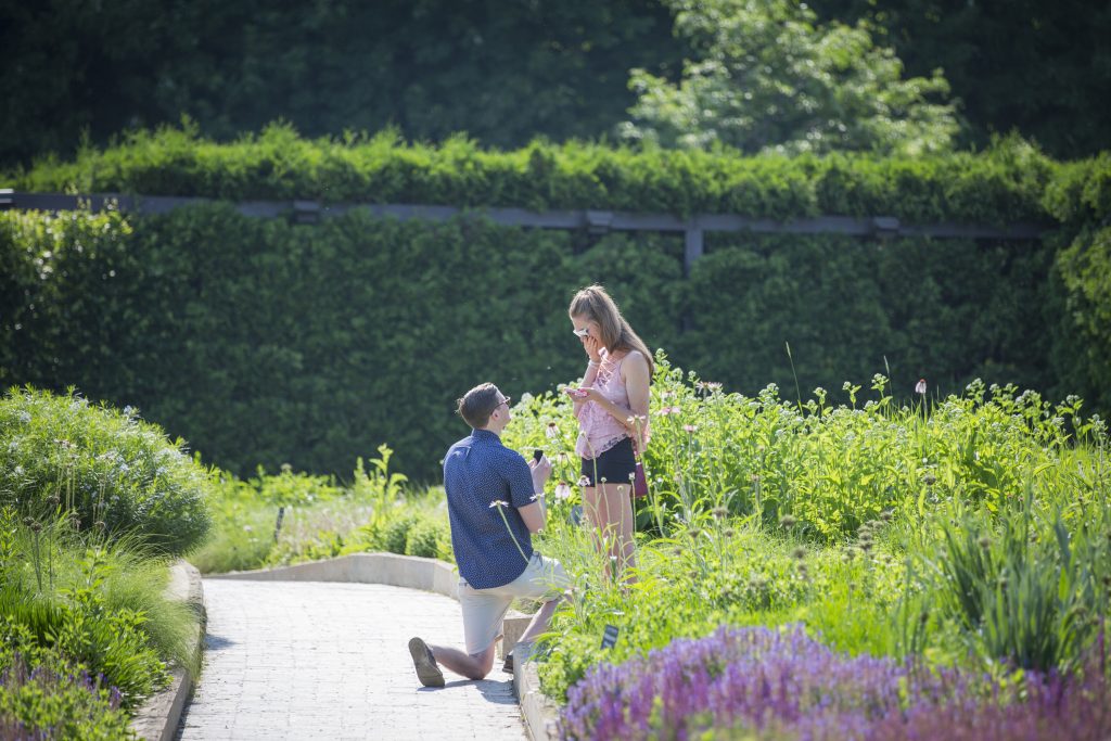 Photo Chicago Proposal Ideas: Millennium Park