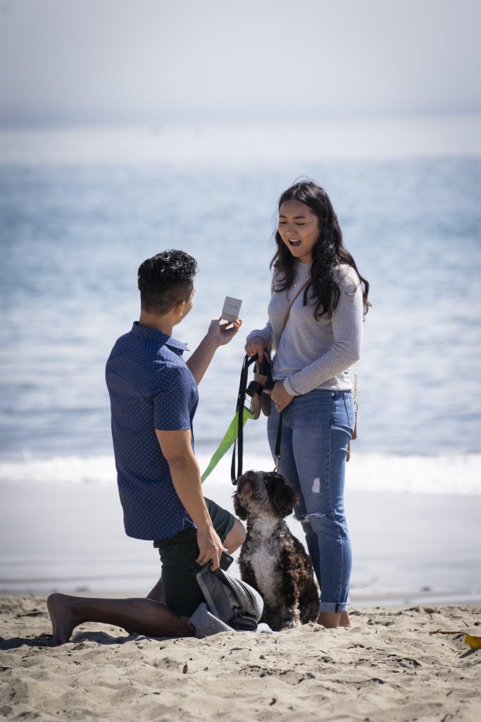 Photo San Jose Engagement Proposal Photography: Eric and Erica