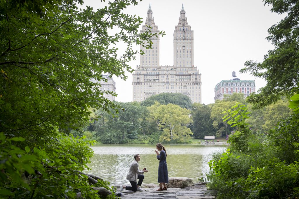 Photo Central Park Engagement Proposals: Remy and Jamie