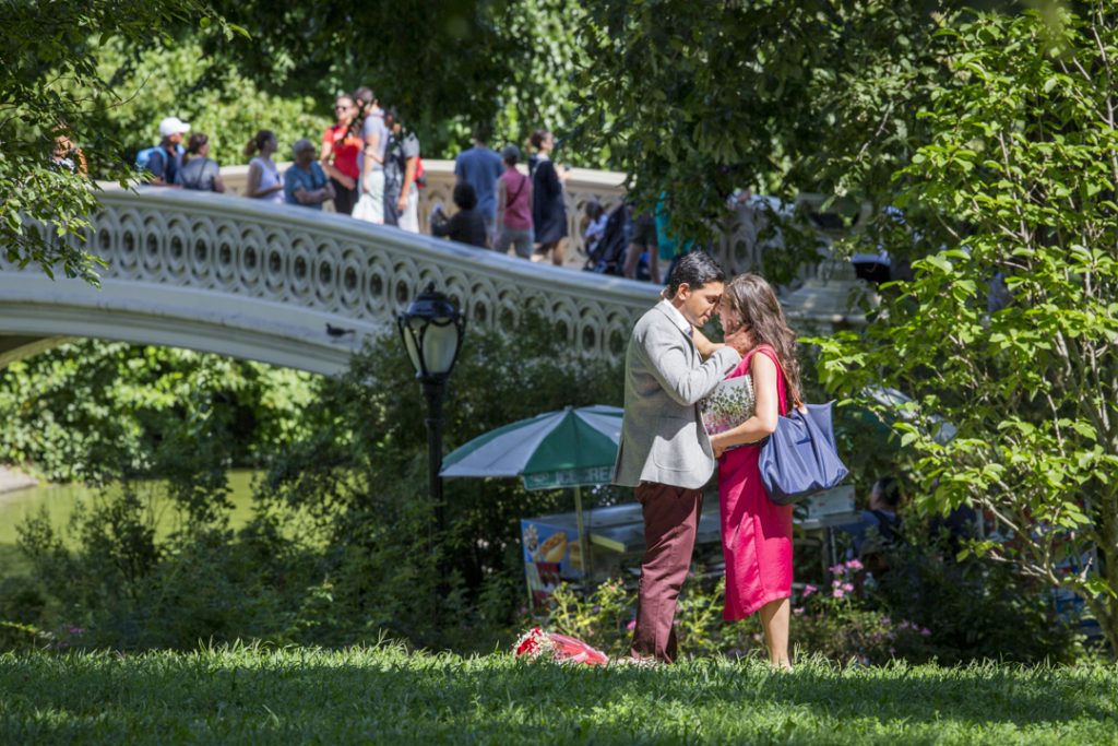 Photo The Proposal Photographer in New York City
