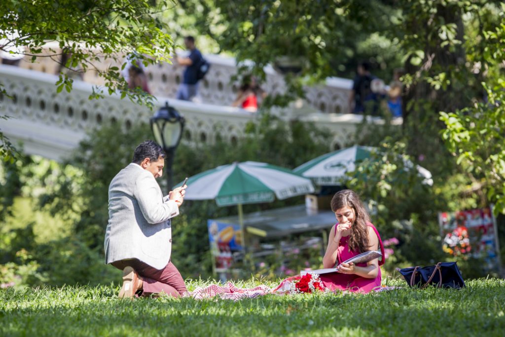 Photo The Proposal Photographer in New York City