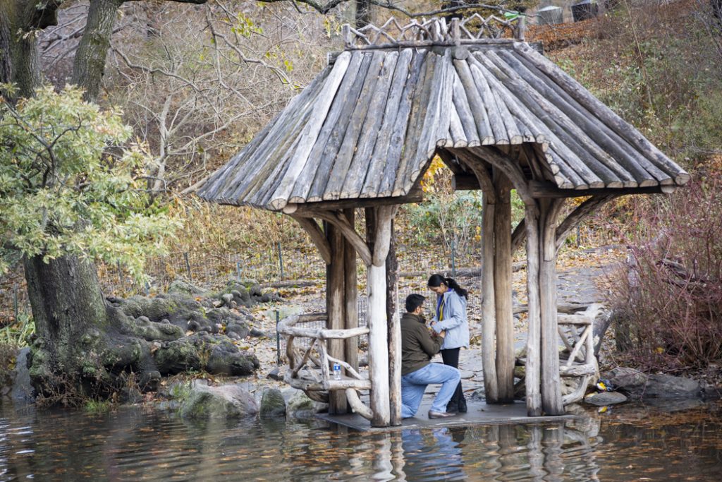 Photo Favorite Holiday Engagement Proposals