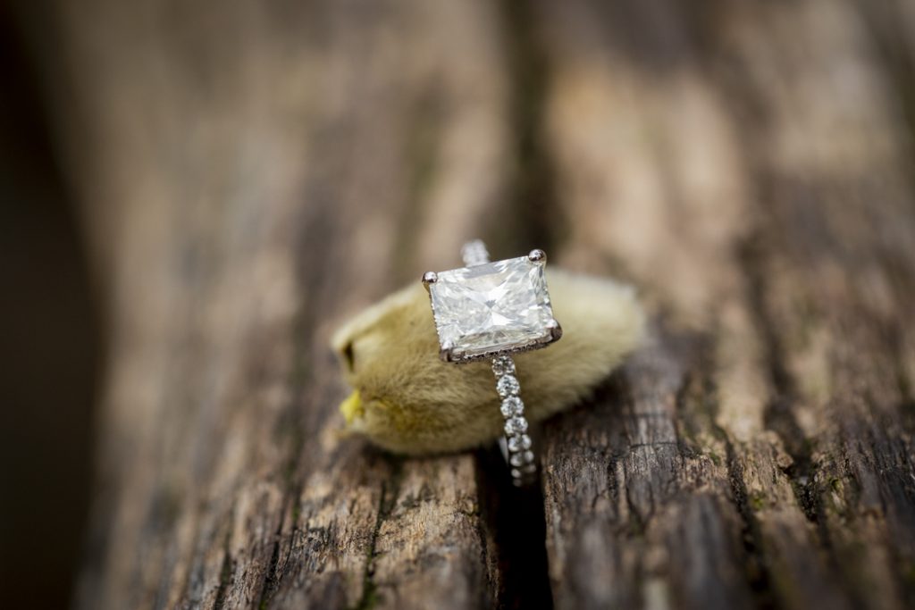 Photo Nik’s Romantic Bow Bridge Engagement Proposal