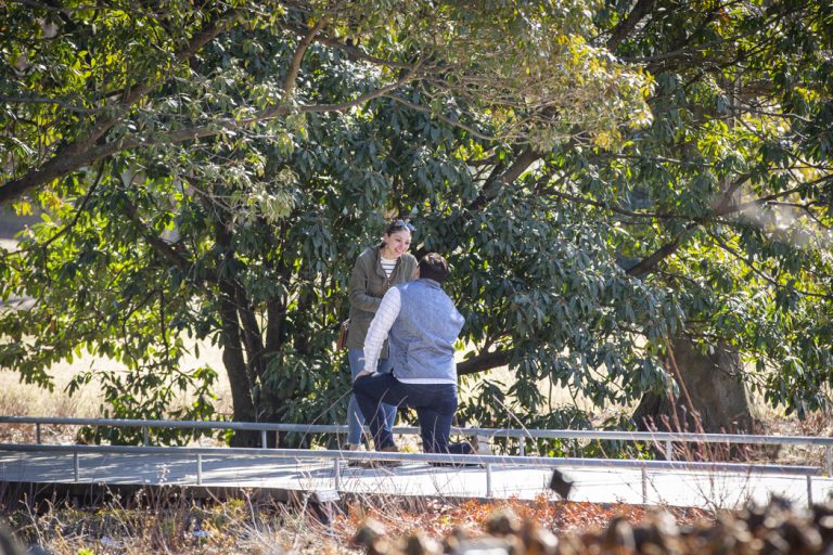 Photo Jordan’s Romantic Brooklyn Botanical Garden Engagement Proposal