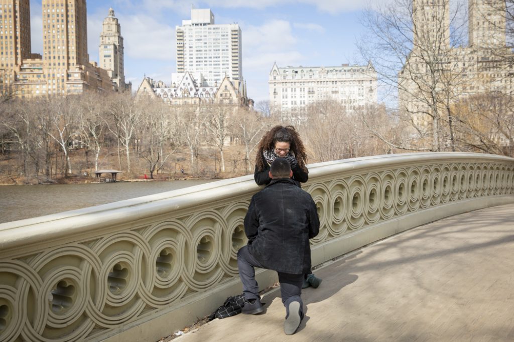 Photo Scenic Central Park Engagement Proposal Ideas