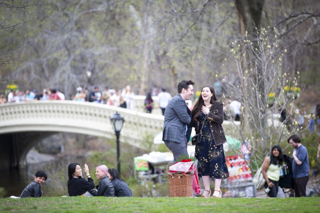 Central Park Picnic Proposals