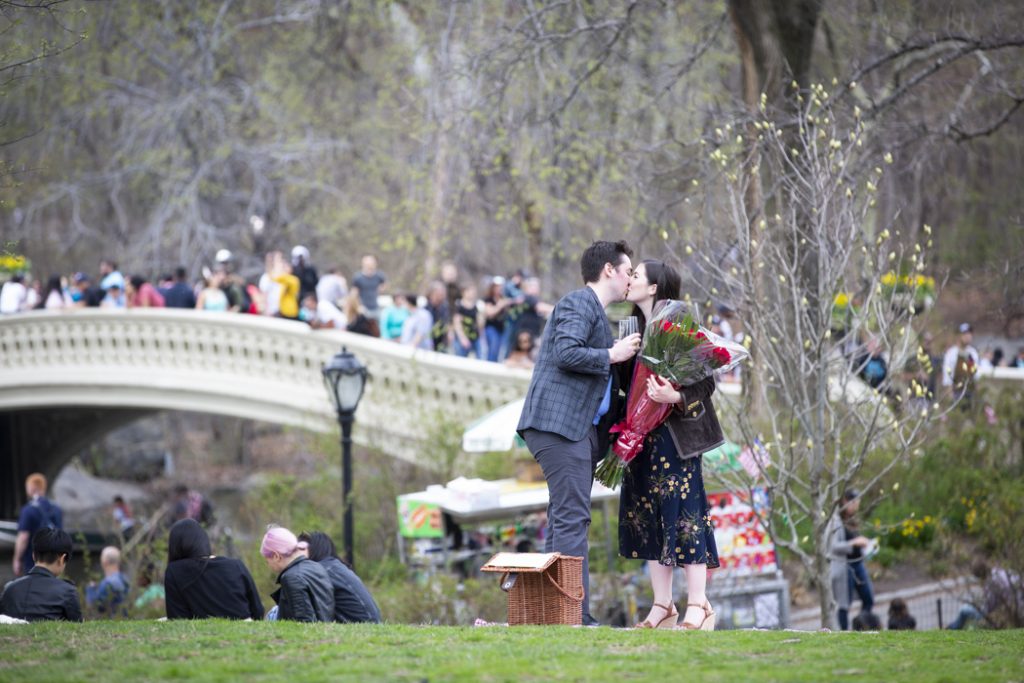 Central Park Picnic Proposals