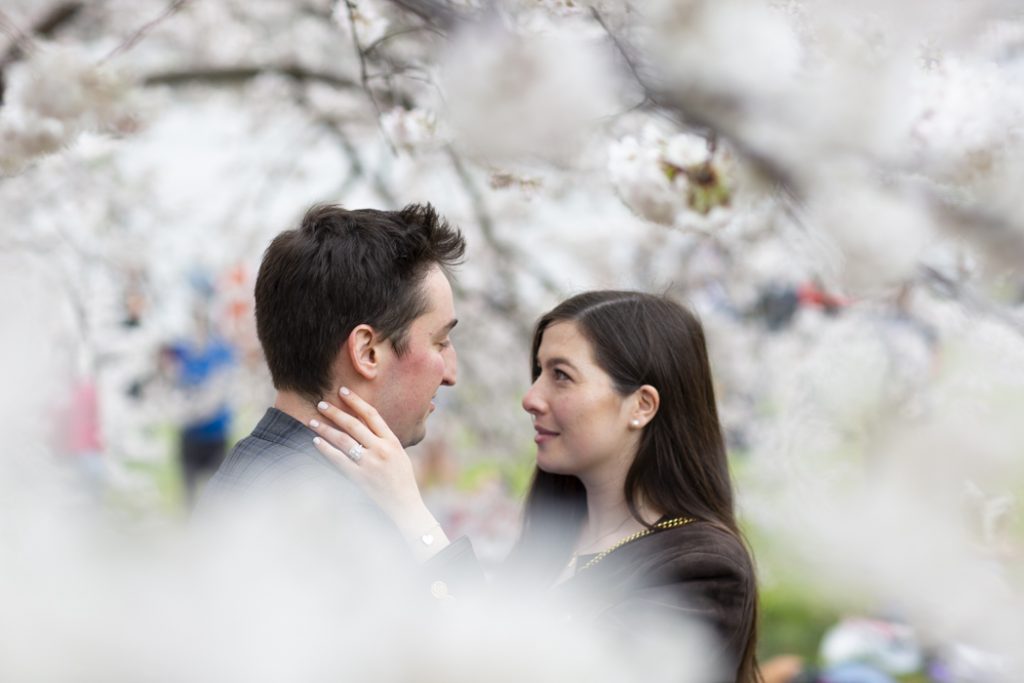 Central Park Picnic Proposals