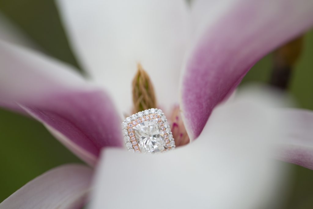 Photo Central Park Picnic Proposals: Daniel’s Cherry Hill Proposal