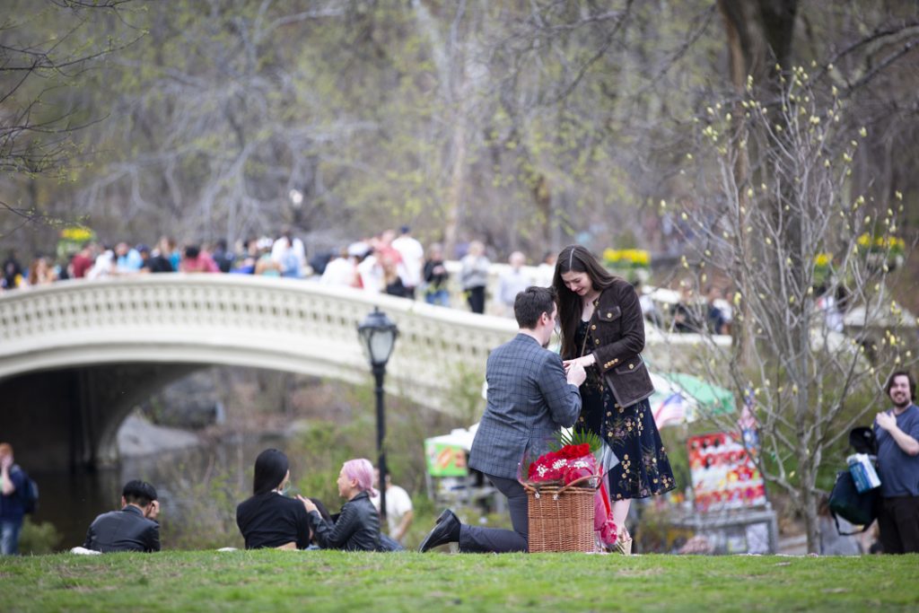 Photo Central Park Picnic Proposals: Daniel’s Cherry Hill Proposal