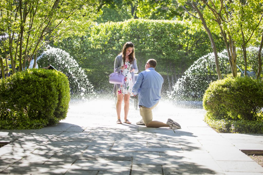 Dallas Engagement Proposals