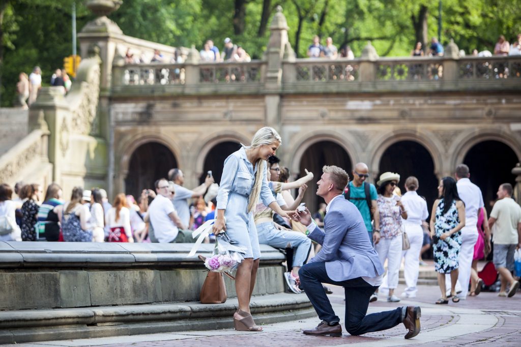 Central Park Engagement Proposal Ideas