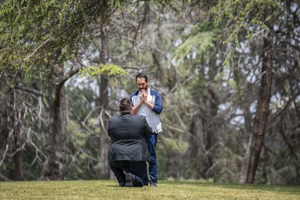 Photo Romantic Outdoor Spring Engagement Proposals