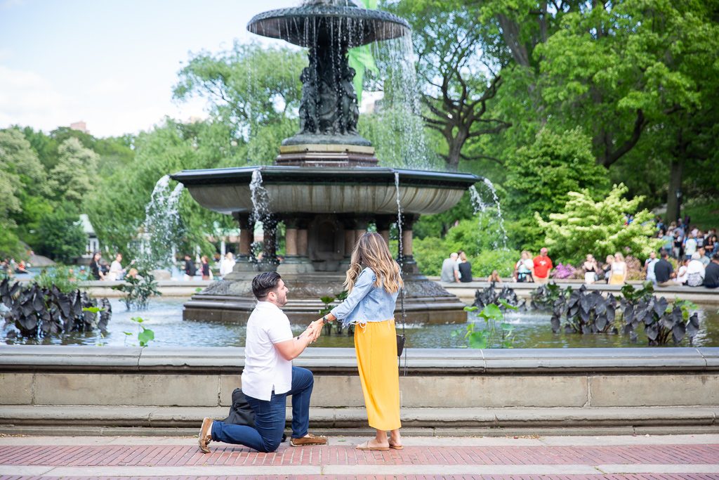 Photo New York City Proposal Ideas: Central Park
