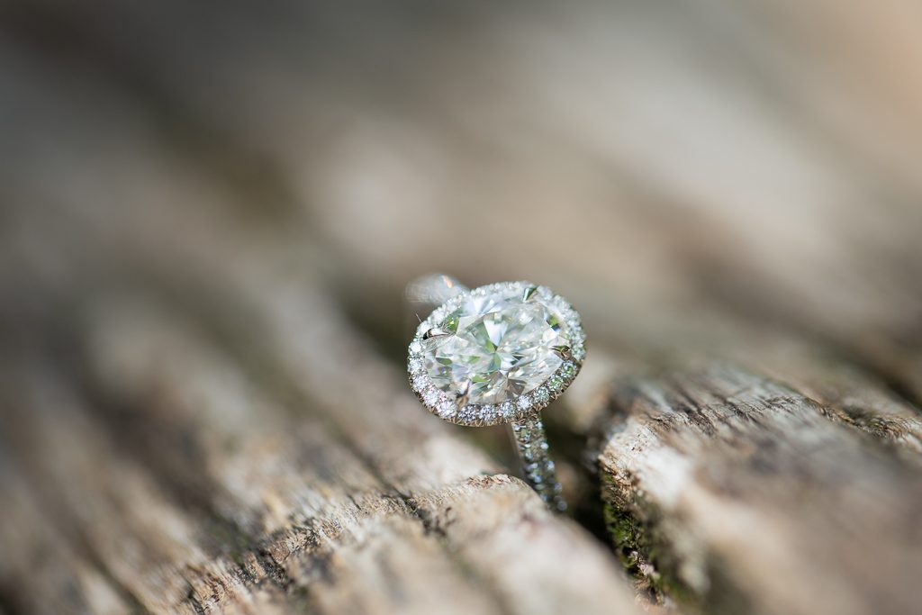 New York Engagement Stories