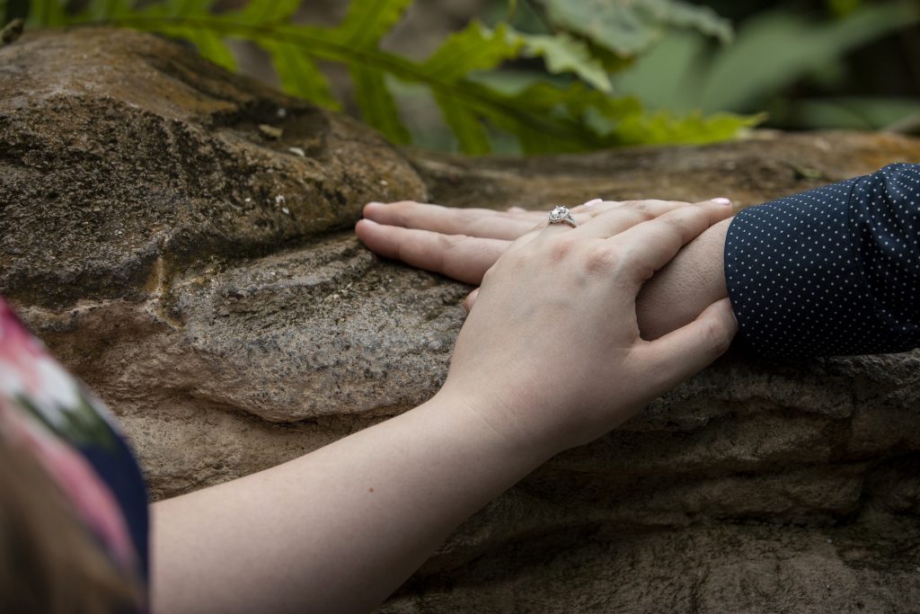 Photo Houston Engagement Proposals: Adam and Claire