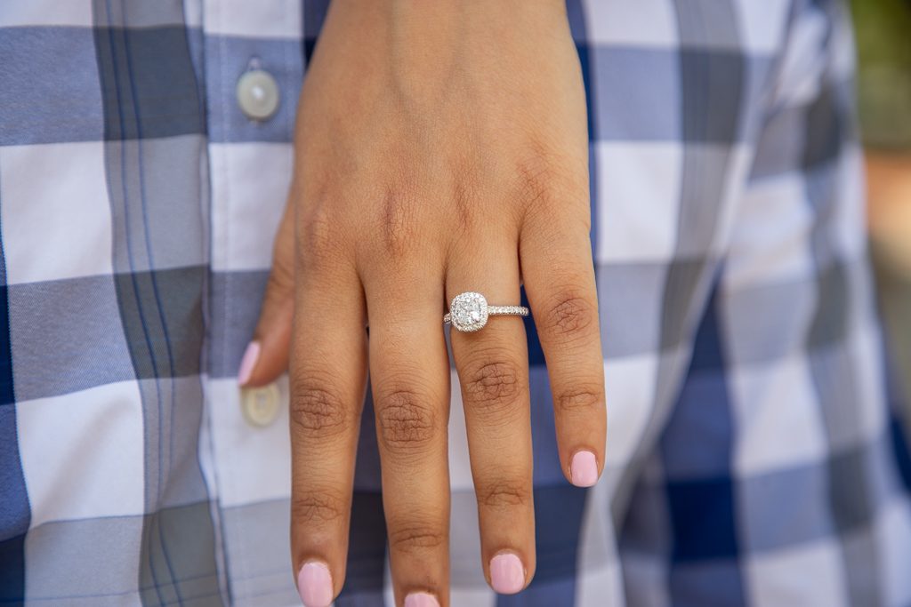 Detroit Engagement Proposal Photography