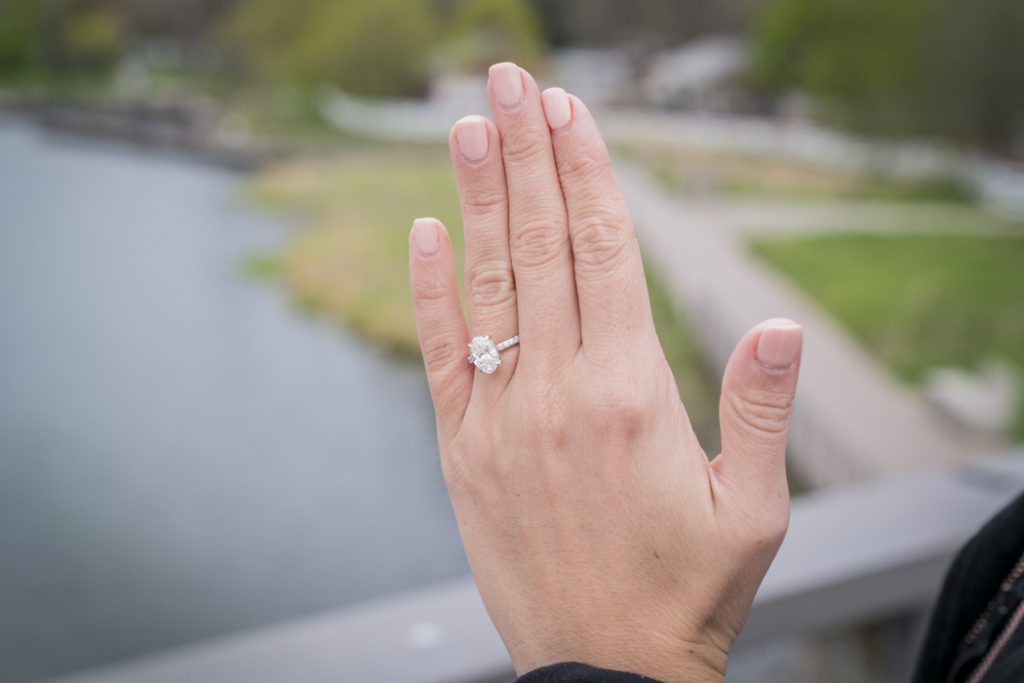 Lincoln Park Engagement Proposals