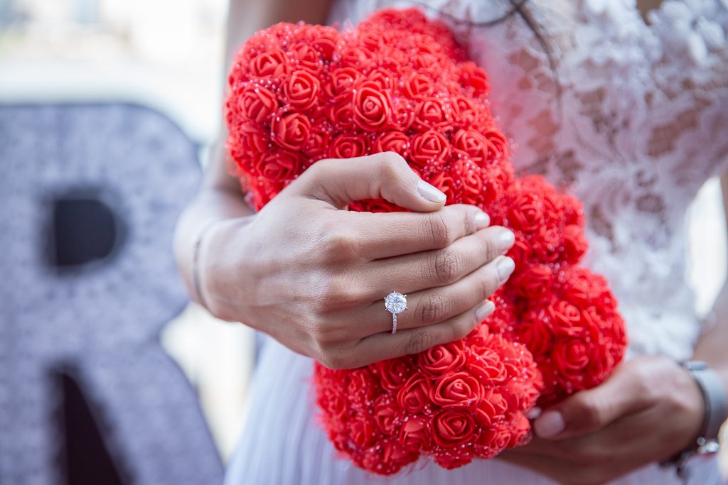 Photo New Jersey Proposal Photography: Michail and Mirna