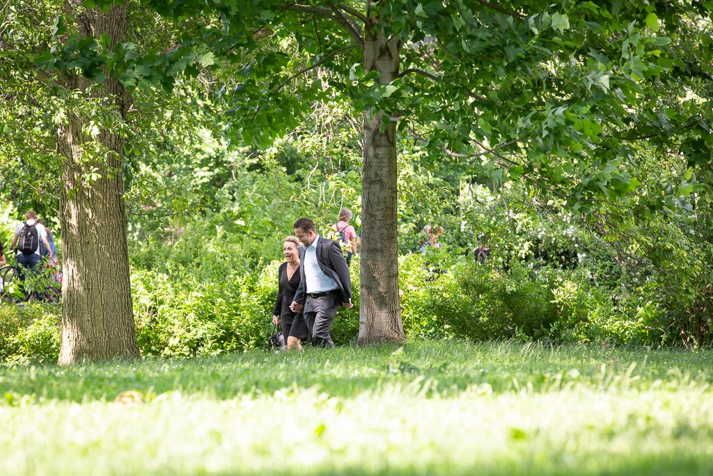 Central Park picnic proposals