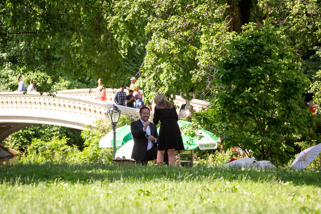 Central Park picnic proposals