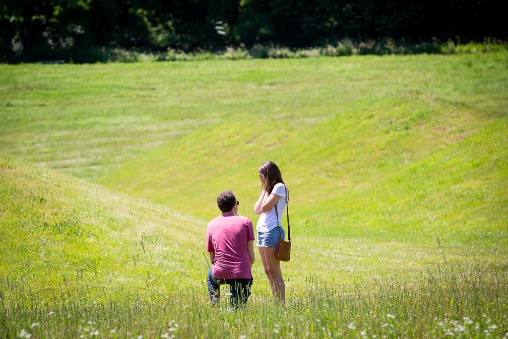 Photo Storm Art Center Engagement Proposals: Ryan and Lisa