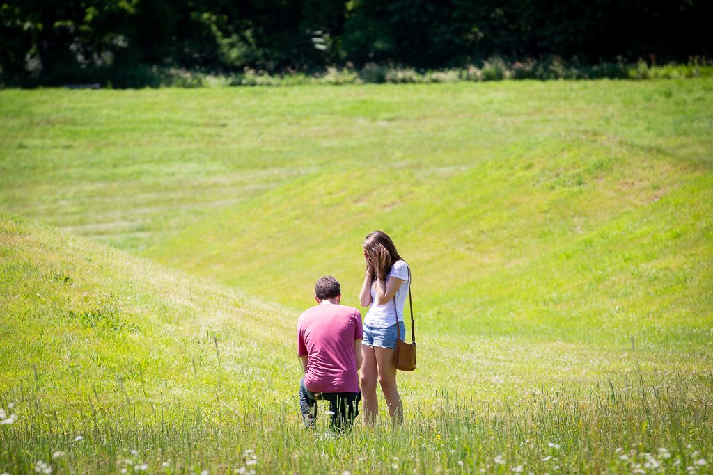 best engagement proposal ideas